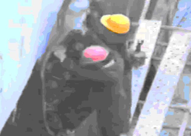 ʩǽճSBSˮ-ʩֳƵƵ