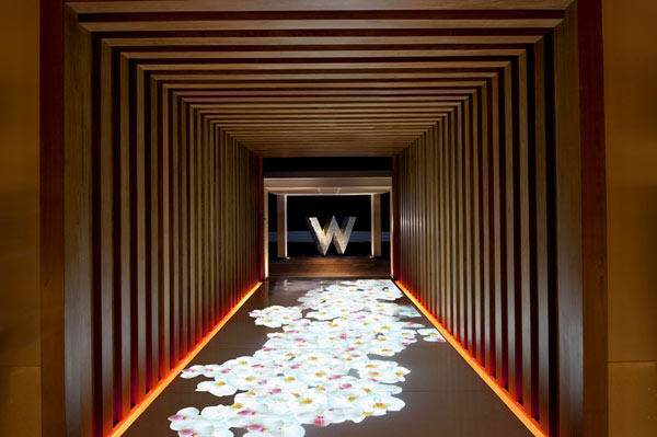 ̩÷WȼپƵ