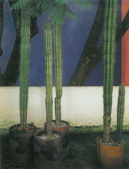 ī罨ʦ·˹(LuisBarragan)