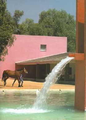 ī罨ʦ·˹(LuisBarragan)