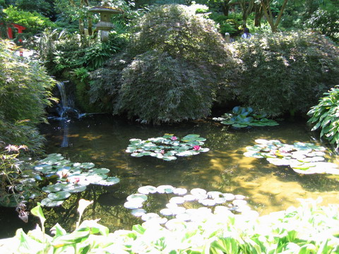 Ͻ԰The Butchart Gardens-Sunken Garden