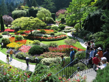 Ͻ԰The Butchart Gardens-Sunken Garden