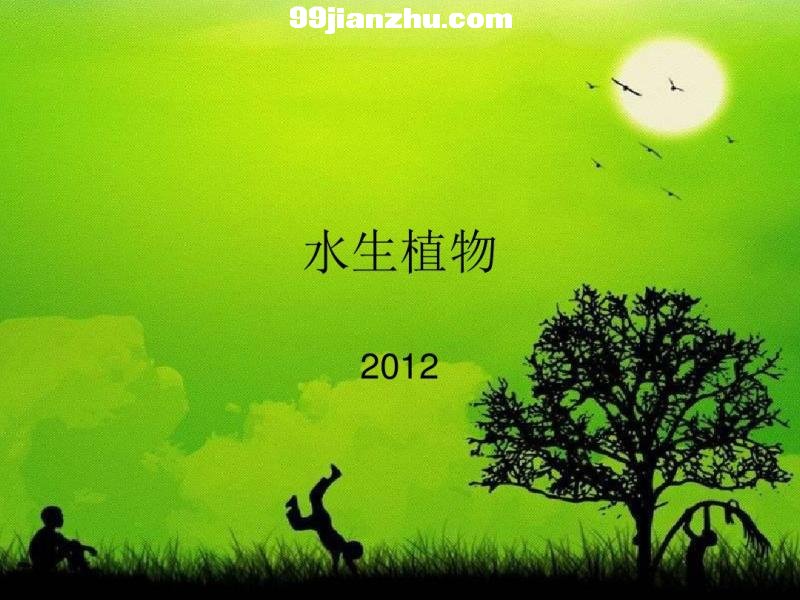 ˮ��ֲ�ﱱ����������ˮ��ֲ��