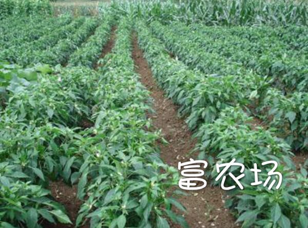 GB∕T 29157-2012 浮法玻璃生产生命周期评价技术规范(产品种类规则)